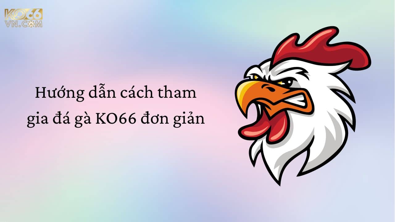 Hướng dẫn cách tham gia đá gà KO66 đơn giản